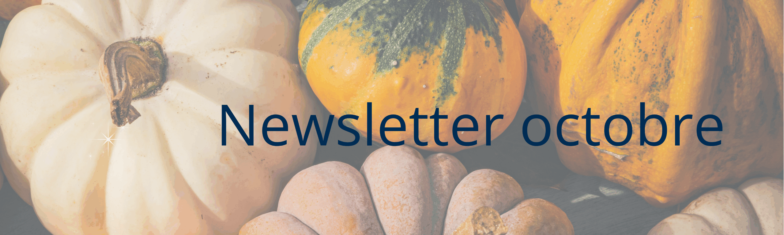 Newsletter CPTS Ouest Hérault – Octobre 2025