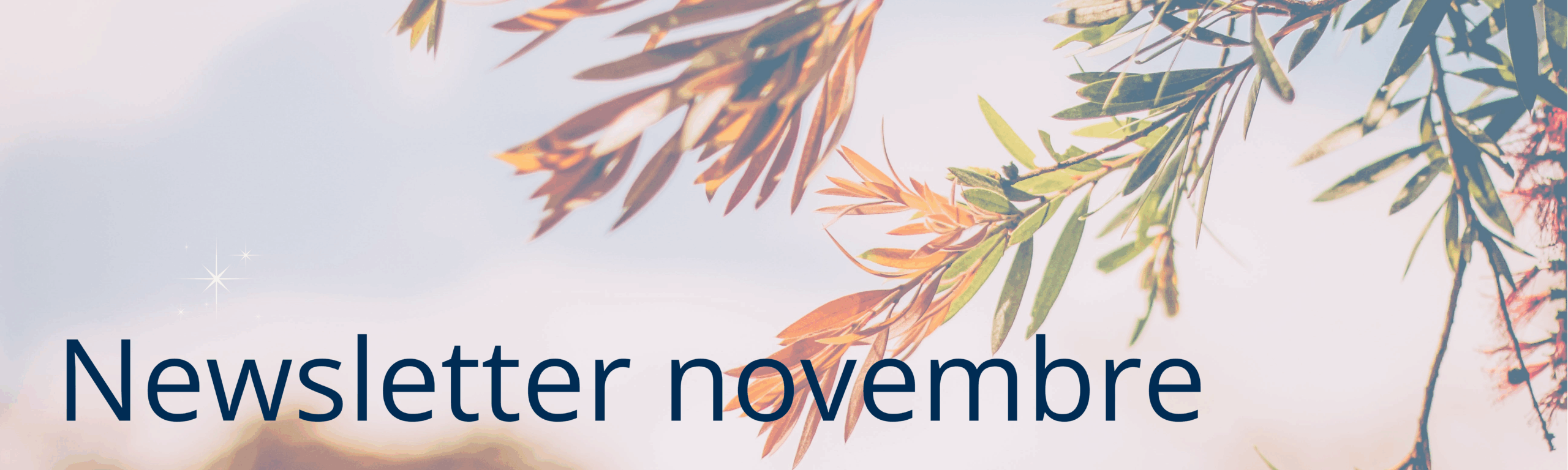 Newsletter CPTS Ouest Hérault – Novembre 2025