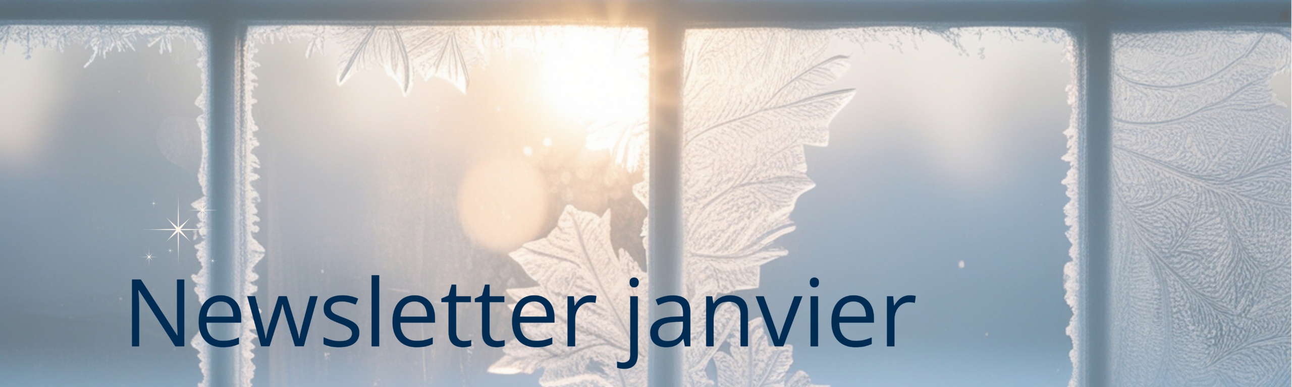 Newsletter de janvier 2026 – CPTS Ouest Hérault : actions, prévention et perspectives pour le territoire